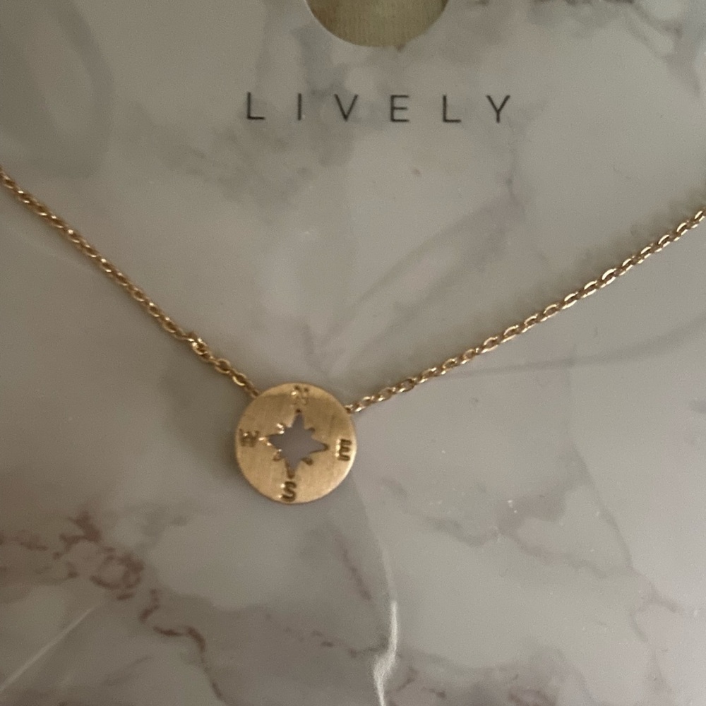 Brand new LIVELY compass necklace